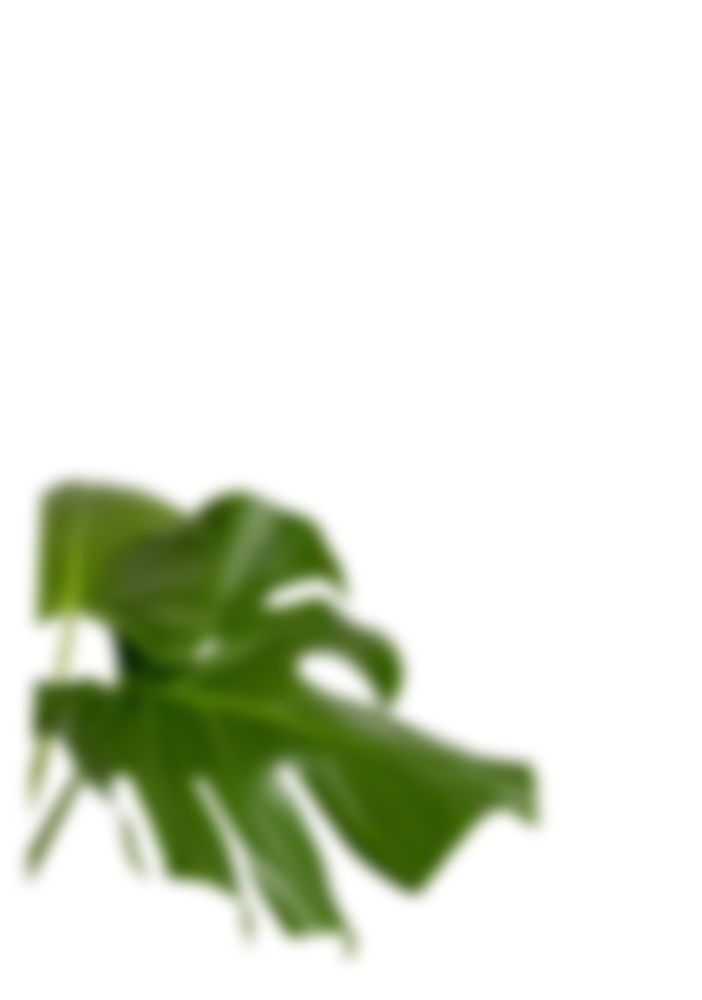 treatment-leaf
